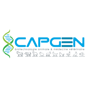 CAPITAL-GENES - sun invest